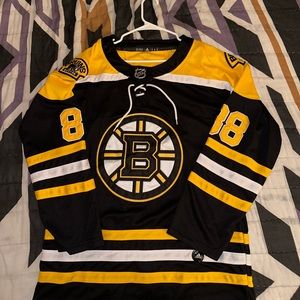 Boston bruins hockey Jersey (David Pasternak)